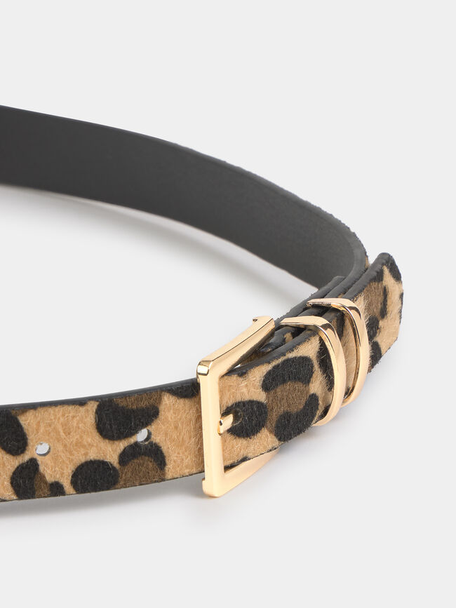 CINTUR&Oacute;N ESTAMPADO ANIMAL Marron Medio