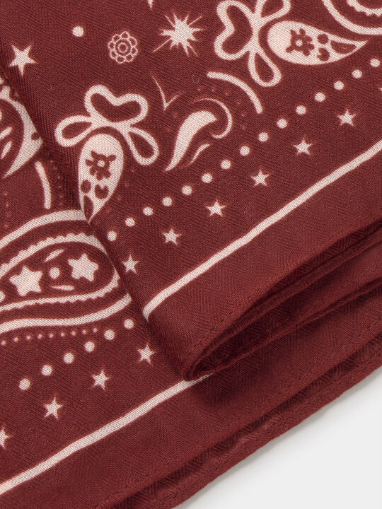 PA&Ntilde;UELO ESTAMPADO PAISLEY Granate image number null